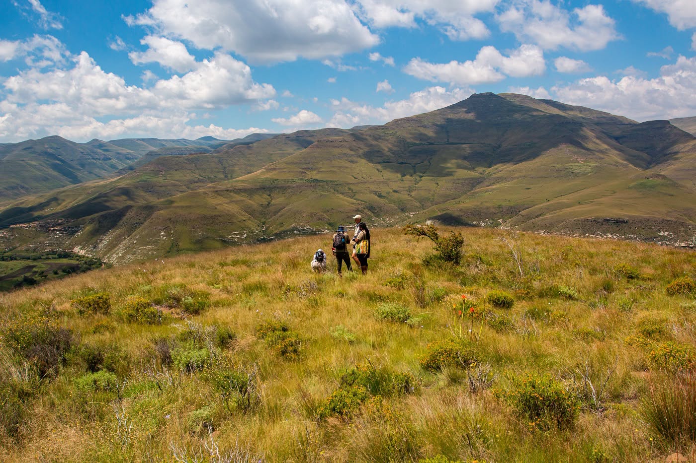 South Africa: New Grasslands National Park declared in Eastern Cape